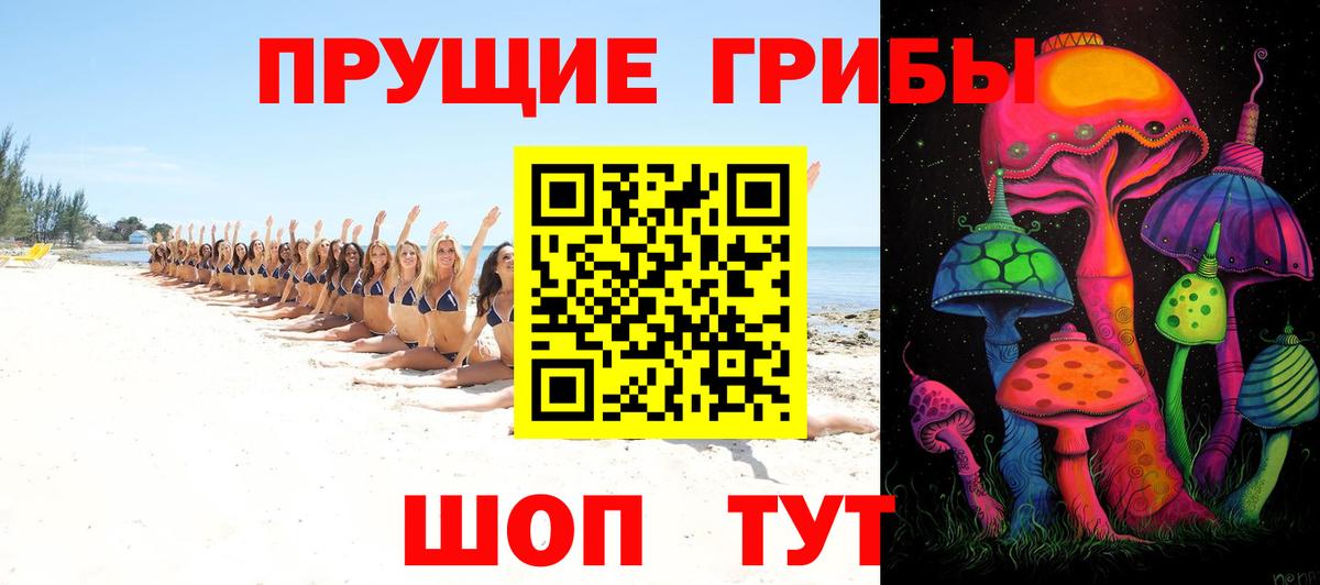 купить наркоту  Вход с VPN  Северобайкальск  Псилоцибиновые грибы ЛСД 