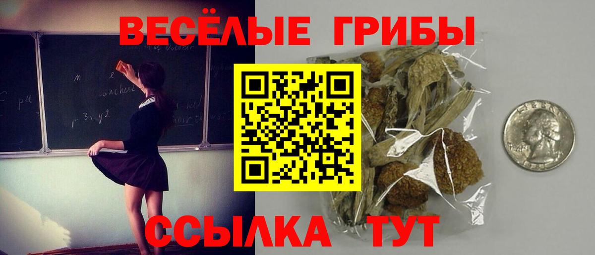 Галлюциногенные грибы Psilocybine cubensis Северобайкальск